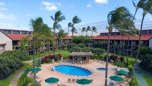 A resort with a central swimming pool, lounge chairs, and palm trees.