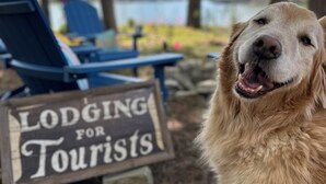 Een hond in een natuurlijke omgeving, met een bord waarop staat 'Logies voor Toeristen'.