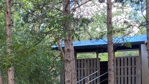 Un espace extérieur abrité, doté d’un escalier menant à un bâtiment, le tout entouré d’arbres.
