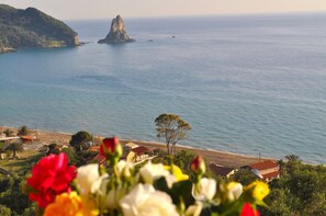 View from property - Beachfront holiday house Eftichia (Agios Gordios)