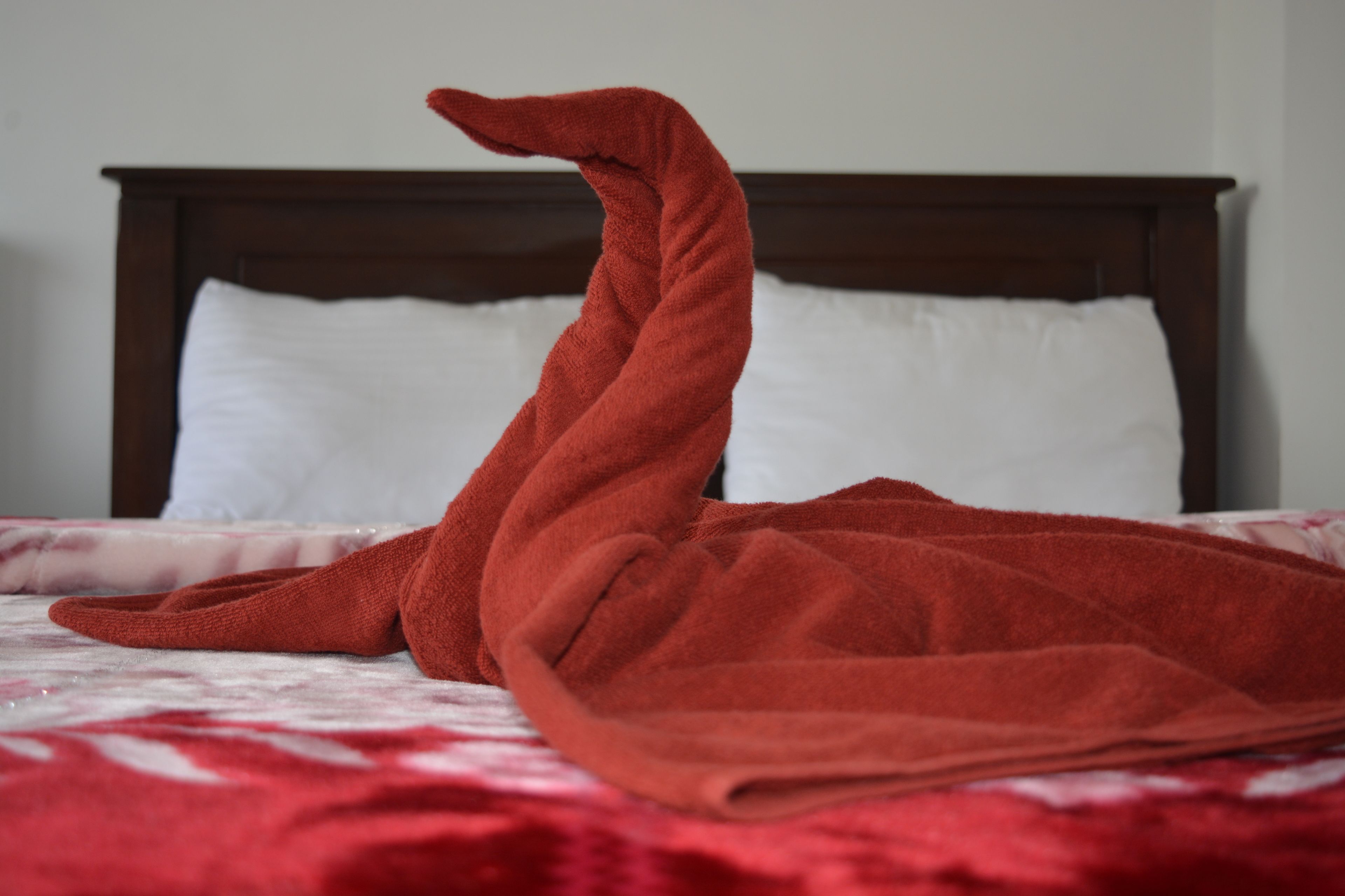 Deluxe dubbelrum - 1 queensize-säng - tillgänglighetsanpassat - icke-rökare | Individuell inredning, unika möbler och mörkläggningsgardiner