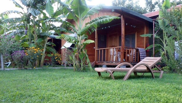 Una cabaña de madera con porche, rodeada de exuberante vegetación y césped.