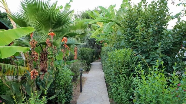 Un sendero de piedra bordeado por abundante vegetación y plantas de plátano.