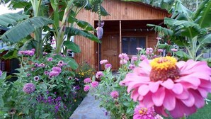 Una cabaña de madera rodeada de exuberantes plataneros y flores coloridas.