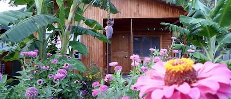A wooden cabin surrounded by lush banana trees and vibrant flowers.