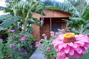 Fachada del alojamiento