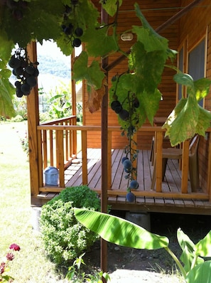 Una terraza de madera con una pérgola cubierta de parras, un pequeño jardín con un banano y vistas a un paisaje montañoso.