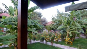Un jardín con diversas plantas y flores, entre ellas flores amarillas y rosas, y un sendero.