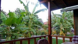 Un espacio al aire libre cubierto con una mesa y sillas de madera, rodeado de grandes plantas de plátano y otra vegetación.