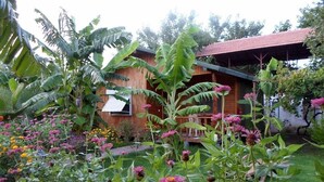 Una casa de madera con porche, rodeada de abundante vegetación y plantas en flor.