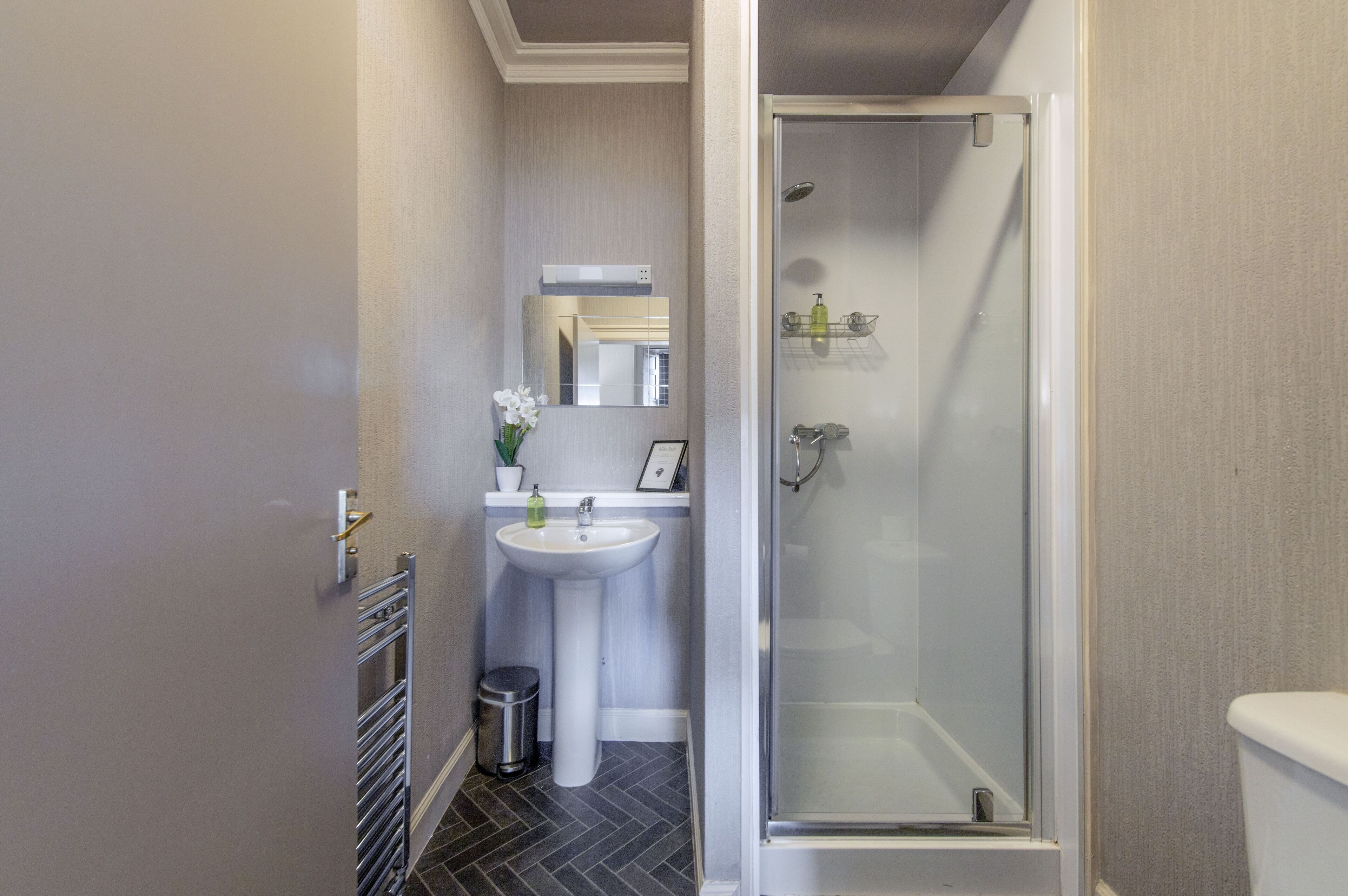 deluxe double room, 1 king bed, non smoking | bathroom | shower, free toiletries, hair dryer, towels