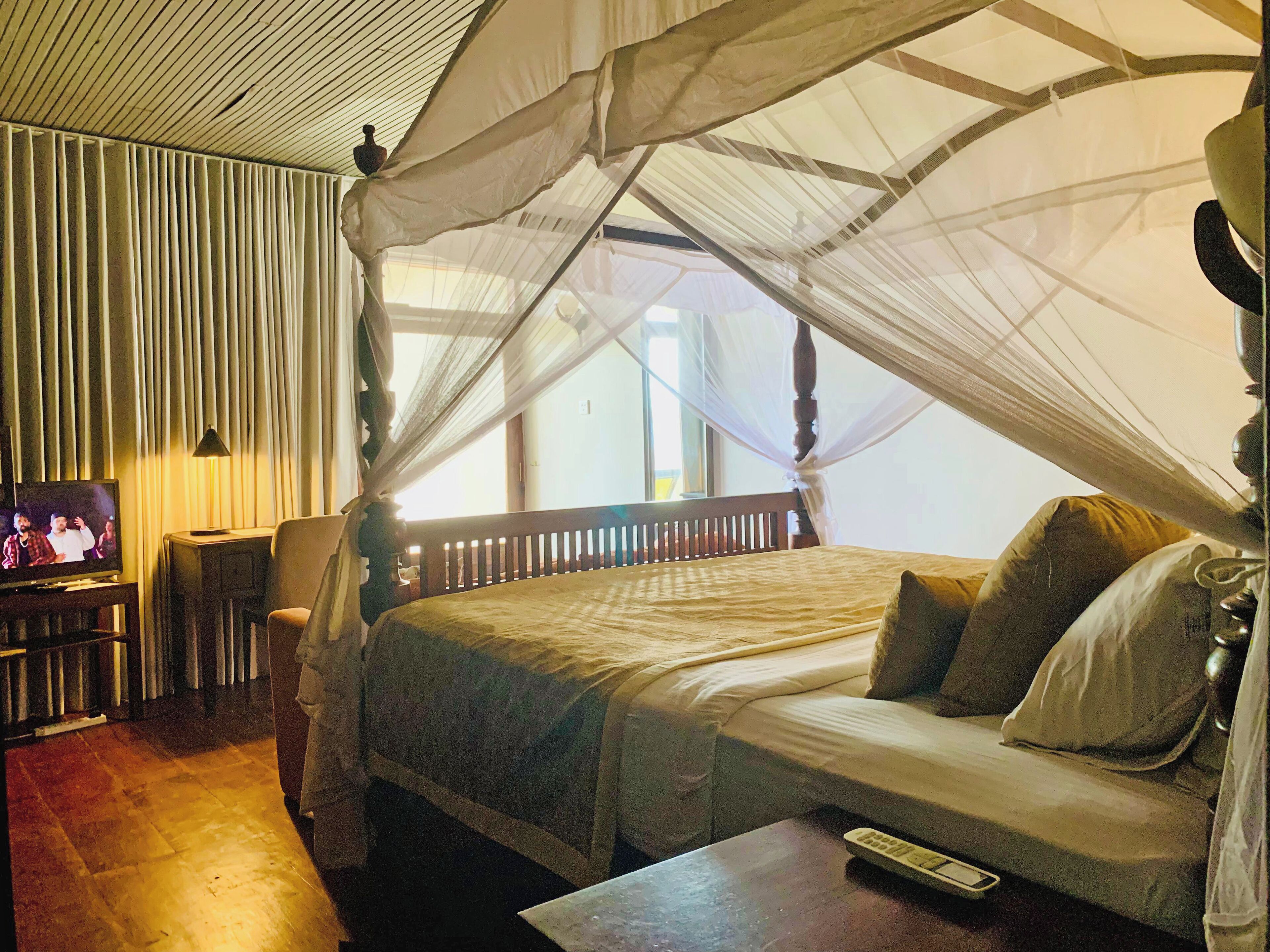 A room with a bed, a TV, and a mosquito net.