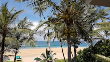 Quang cảnh từ phòng