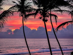 On the beach, beach bar - Suite Lanka (Hikkaduwa)
