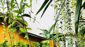 A pool surrounded by lush greenery and a yellow building. - Suite Lanka (Hikkaduwa)