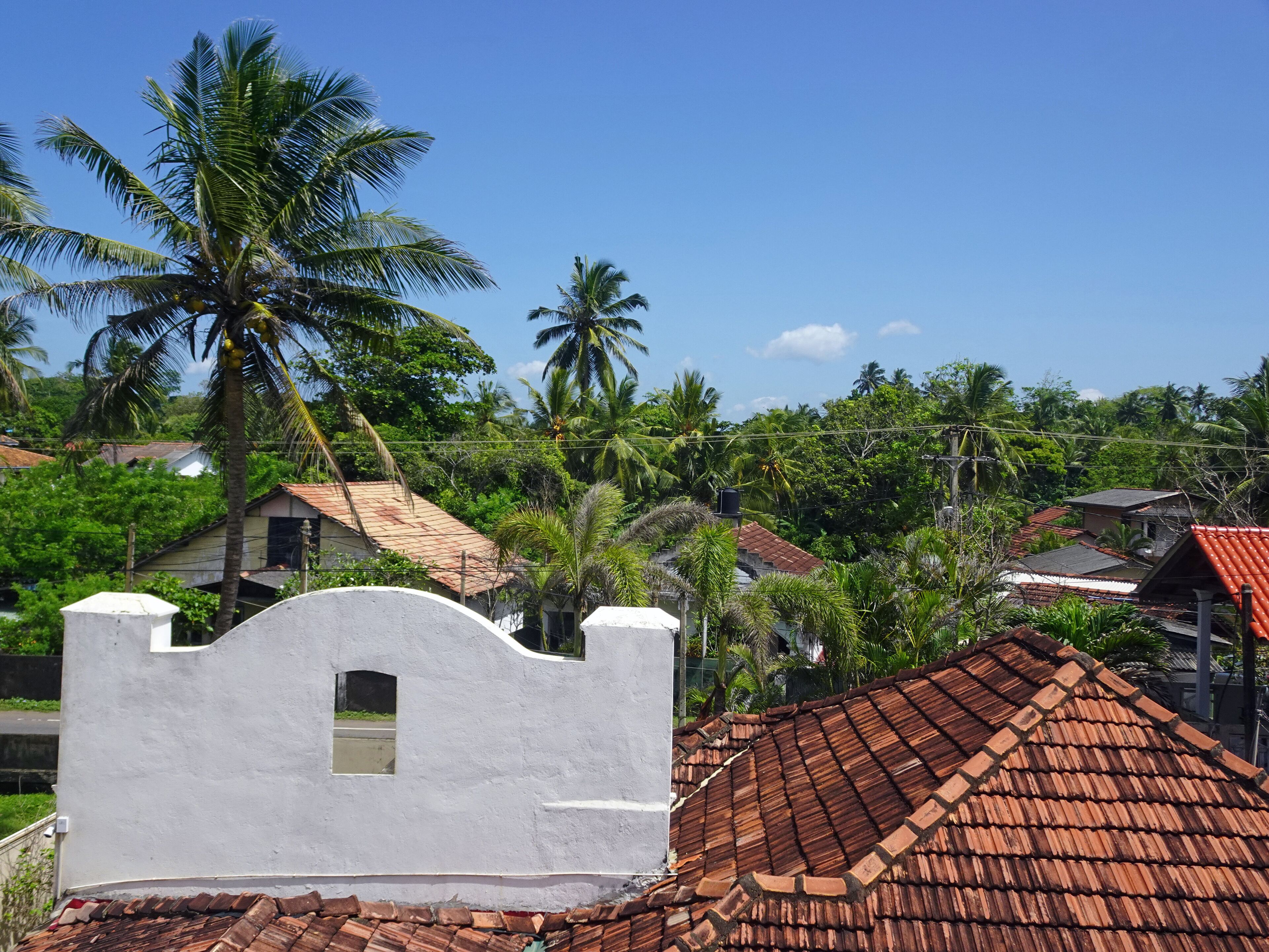 land view from property