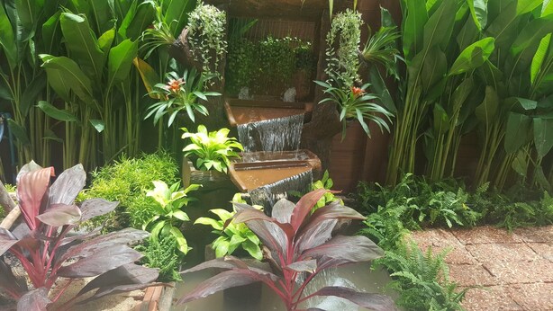 Un jardin agrémenté d’un élément aquatique, d’une végétation luxuriante et de diverses plantes.