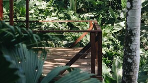 Ảnh chưa phân loại, 5 trong số 52 ảnh, nút