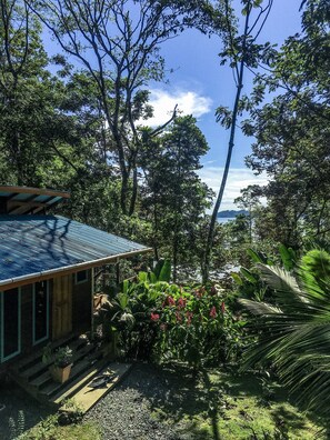 المنطقة المحيطة بالمنشأة