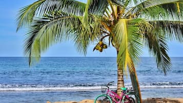 Playa en los alrededores