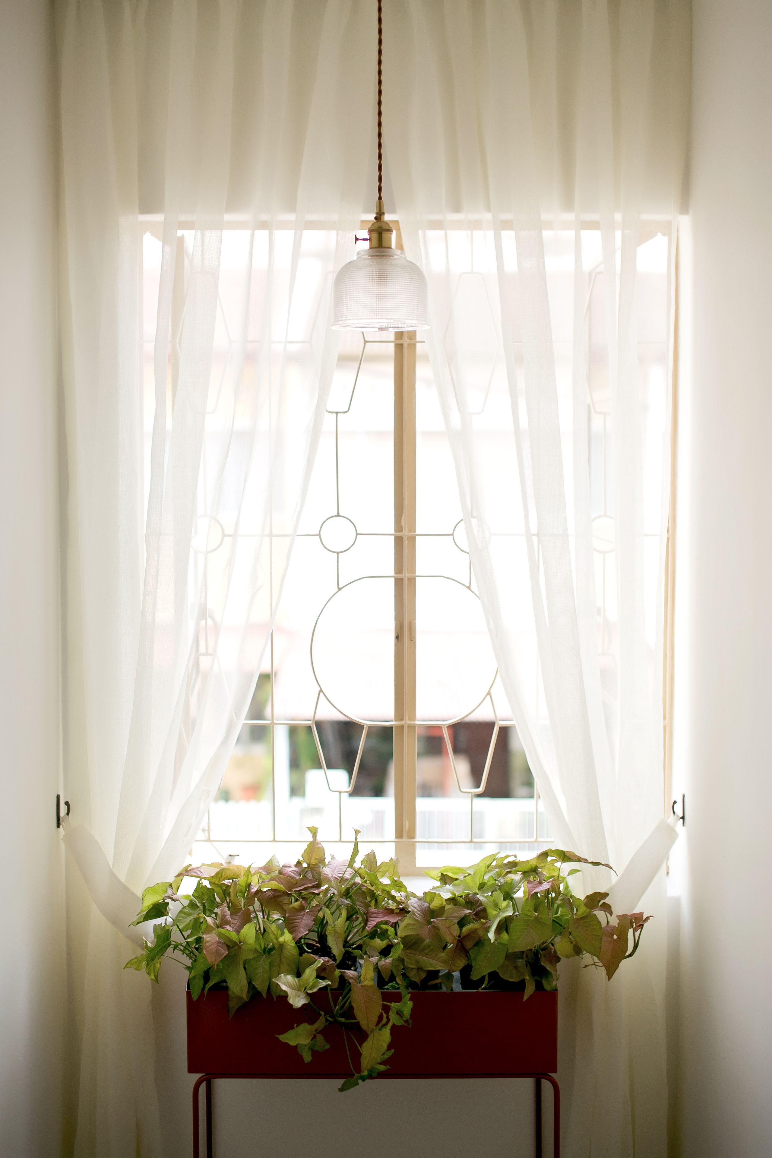 A window with sheer curtains, a hanging light fixture, and a planter with green plants.