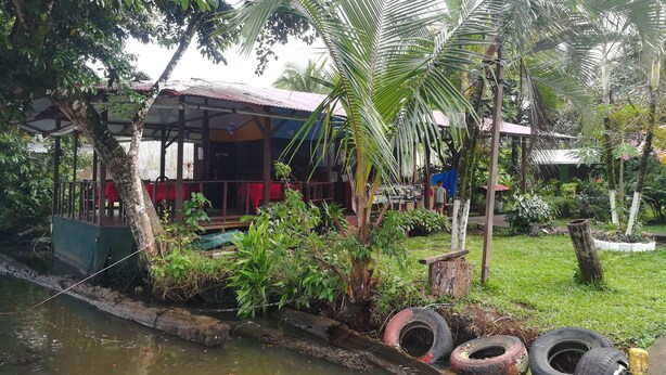 A riverside restaurant with a covered outdoor seating area, surrounded by lush greenery and palm trees.