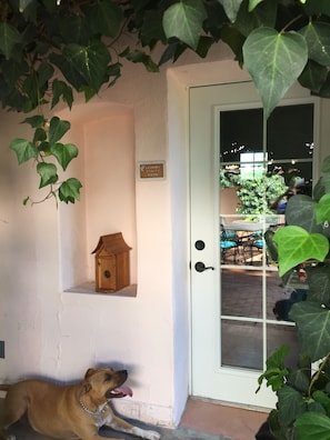 The White-winged Dove Suite | View from room