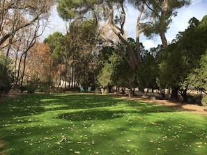 A park with a grassy area, trees, and two green chairs.