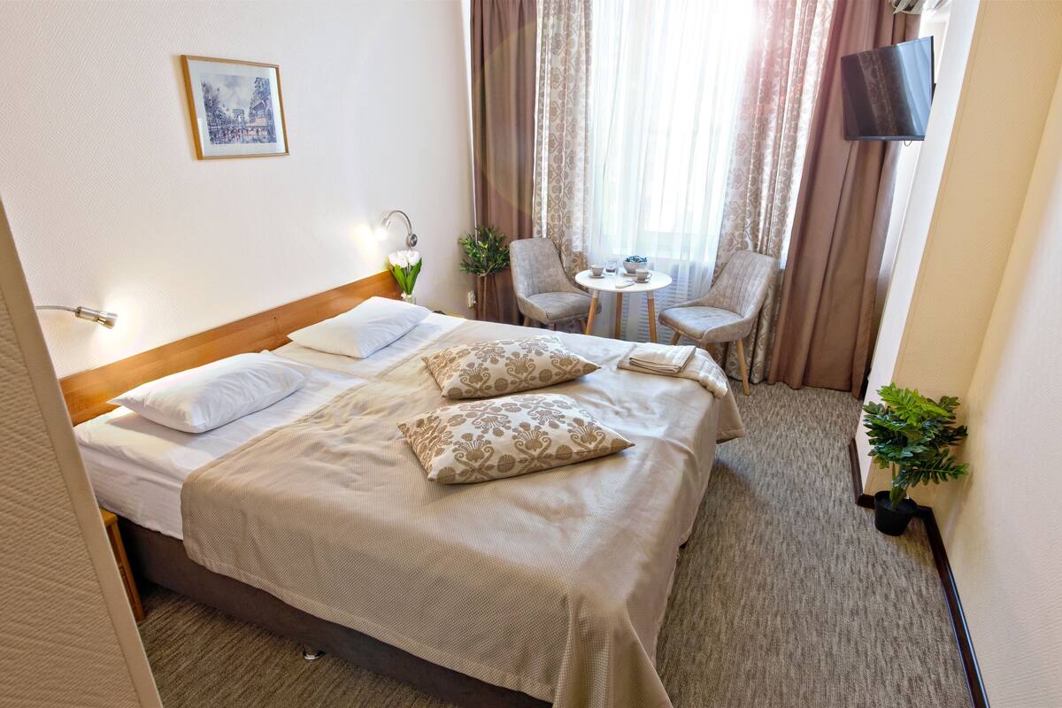 A hotel room with a bed, two chairs, a small table, a TV, and a potted plant.