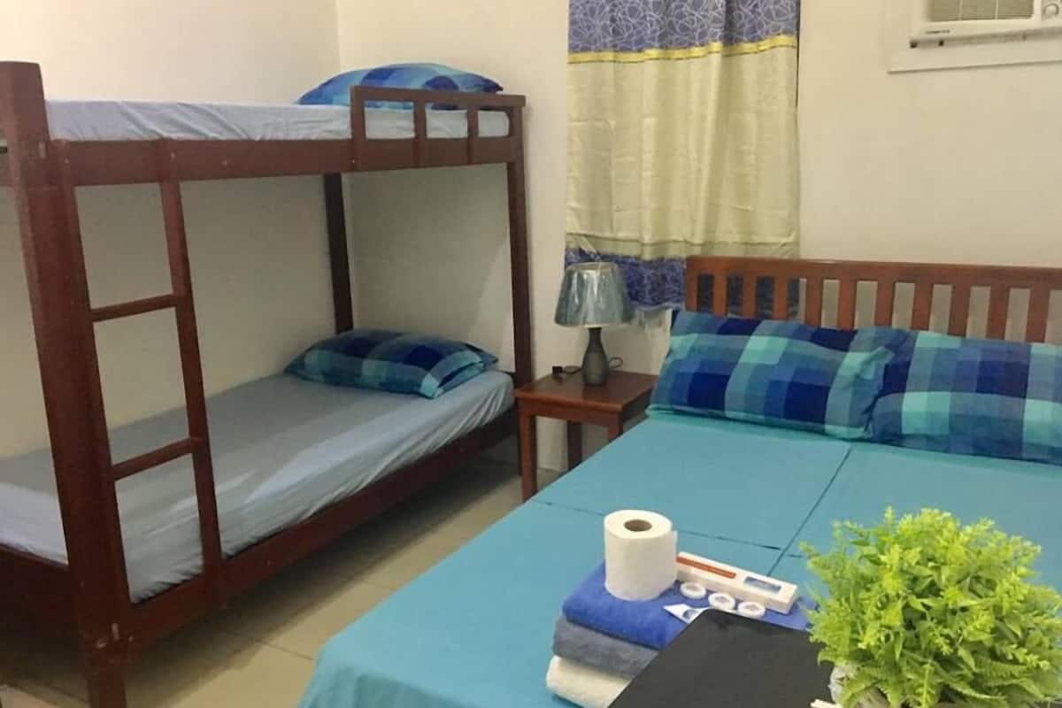 A dormitory room with two bunk beds, a small bedside table with a lamp, a blue bedspread, and a potted plant.