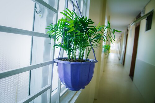 Phuong Phuong 2 Hotel