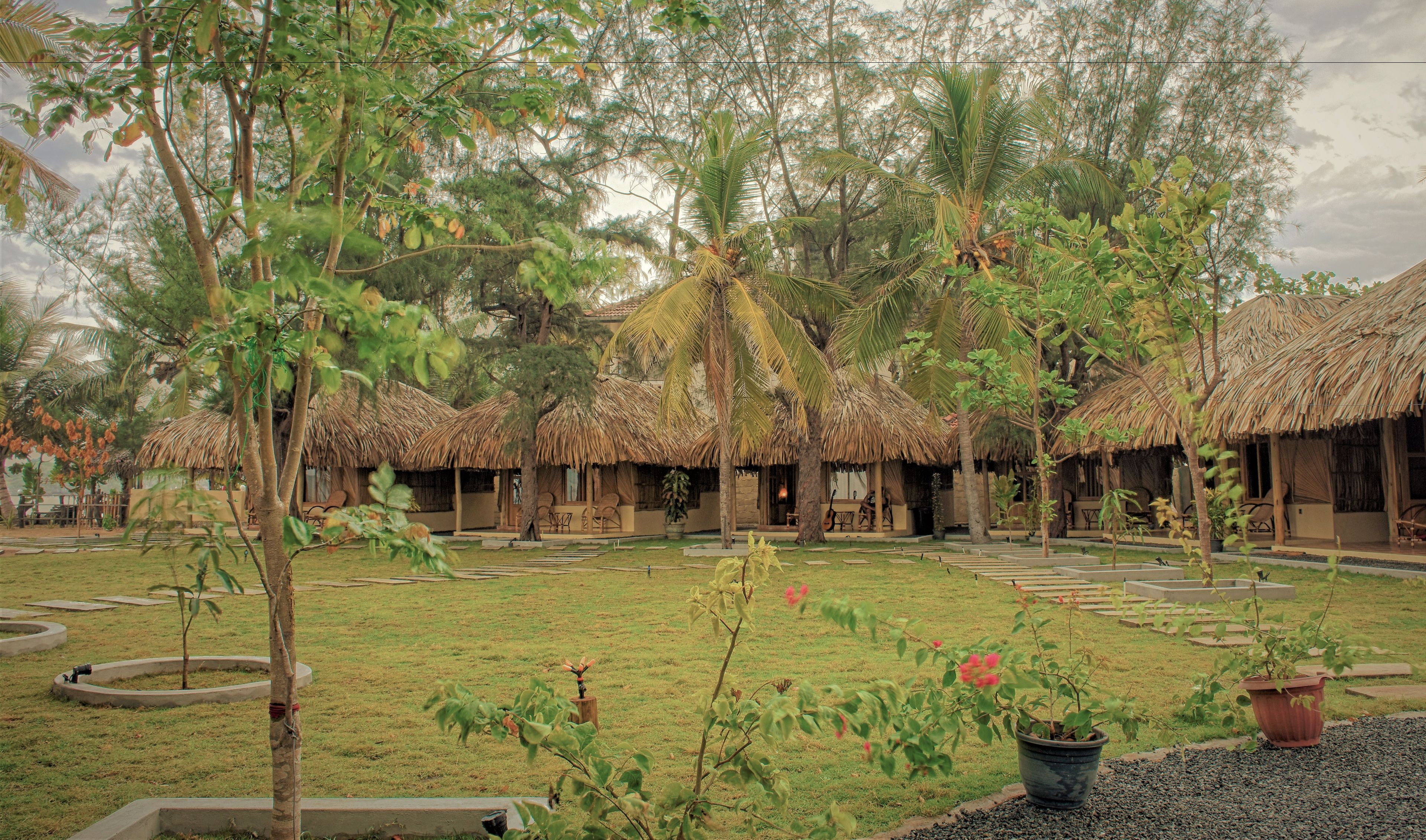 Um resort com cabanas de telhado de palha, um pátio gramado e plantas em vasos.