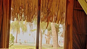 A room with a thatched roof and wooden walls, offering a view of palm trees and a beach. - Royal Beach Arugambay (Arugam Bay)