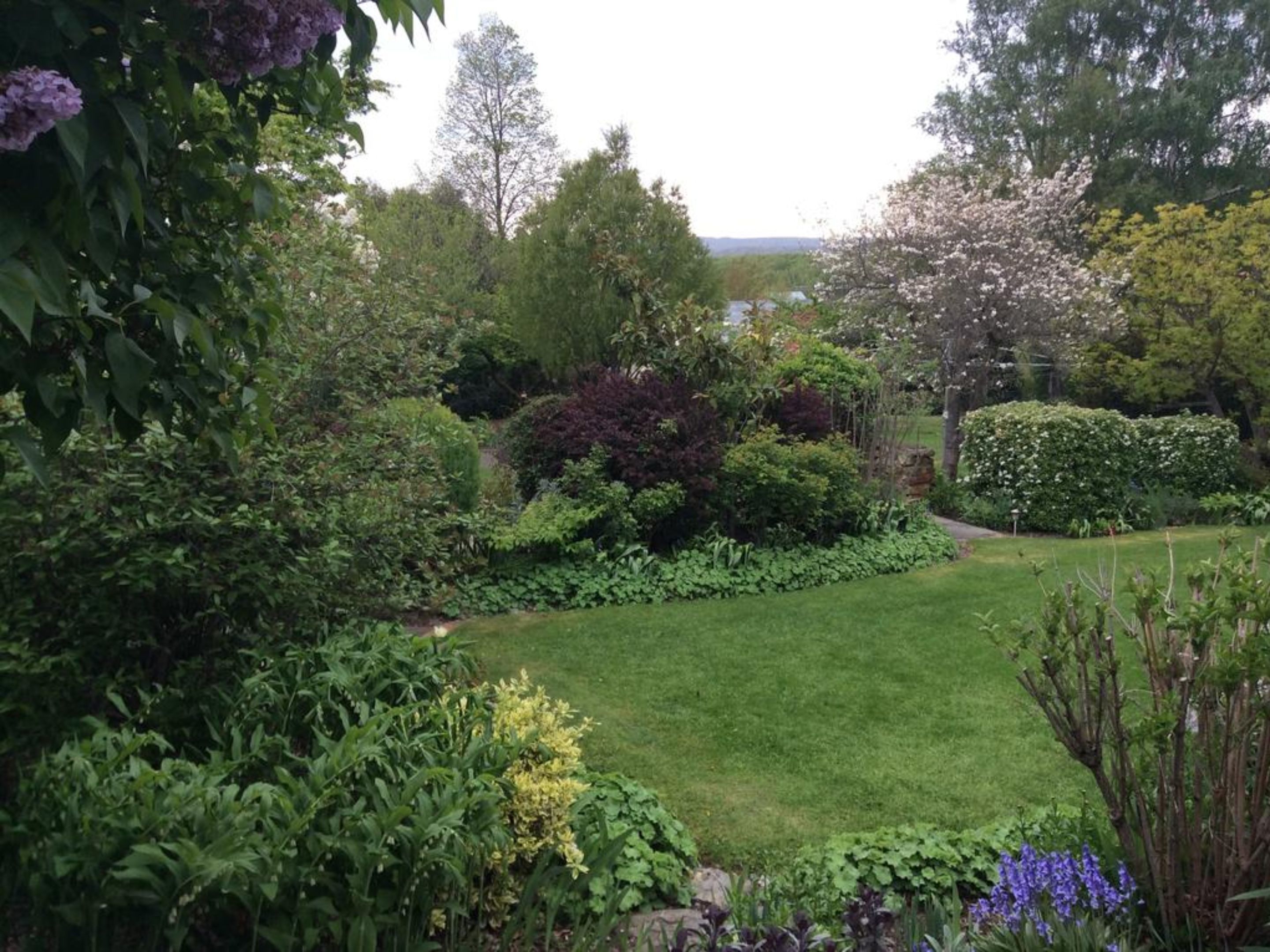 A well-maintained garden with various shrubs and flowering plants, a neatly trimmed lawn, and a hedge.