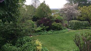 A well-maintained garden with various shrubs and flowering plants, a neatly trimmed lawn, and a hedge.