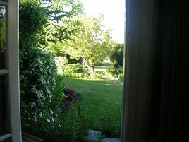 One Bedroom  | View from room