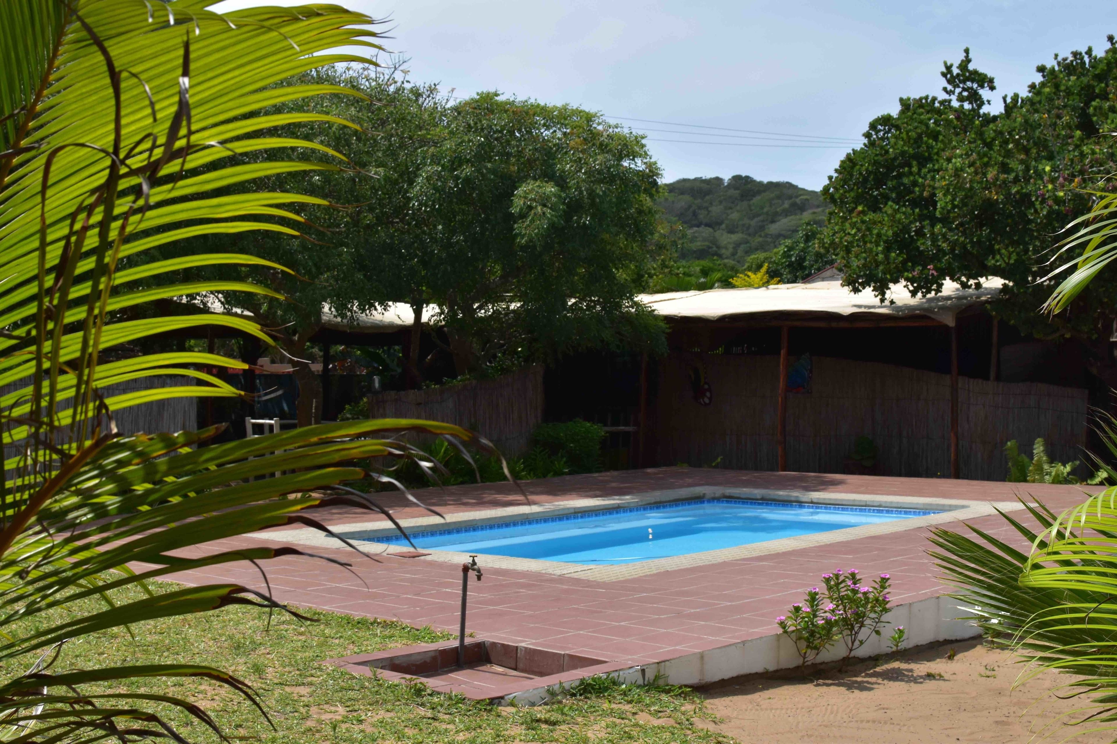 Una piscina rectangular con plataforma de azulejos, rodeada de abundante vegetación y una valla de madera.