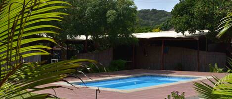 Una piscina rectangular con plataforma de azulejos, rodeada de abundante vegetación y una valla de madera.