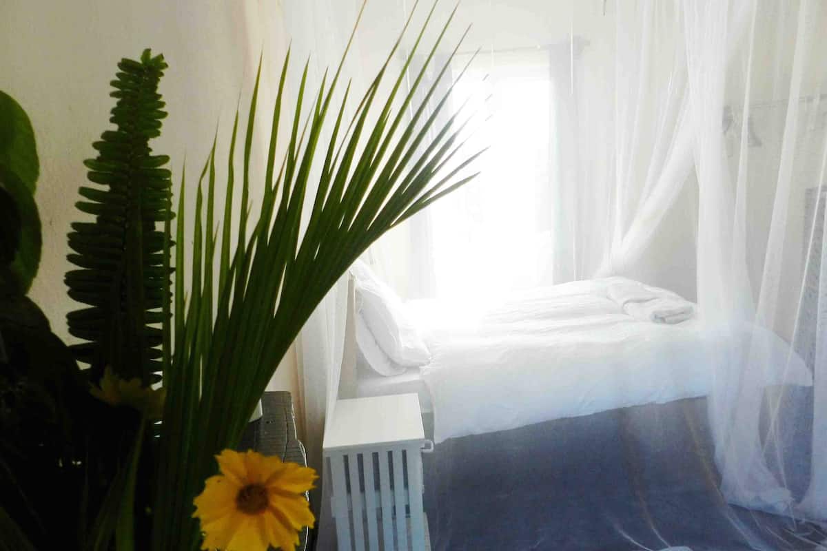 Una habitación con una cama cubierta por sábana blanca, un radiador y una planta de hojas verdes largas y una flor amarilla.
