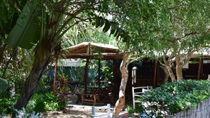 Un espacio de esparcimiento rústico al aire libre con mesas y bancos de madera, rodeado de abundante follaje y una cerca de bambú.