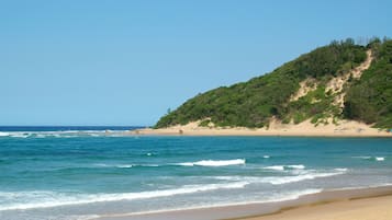 Una spiaggia nelle vicinanze