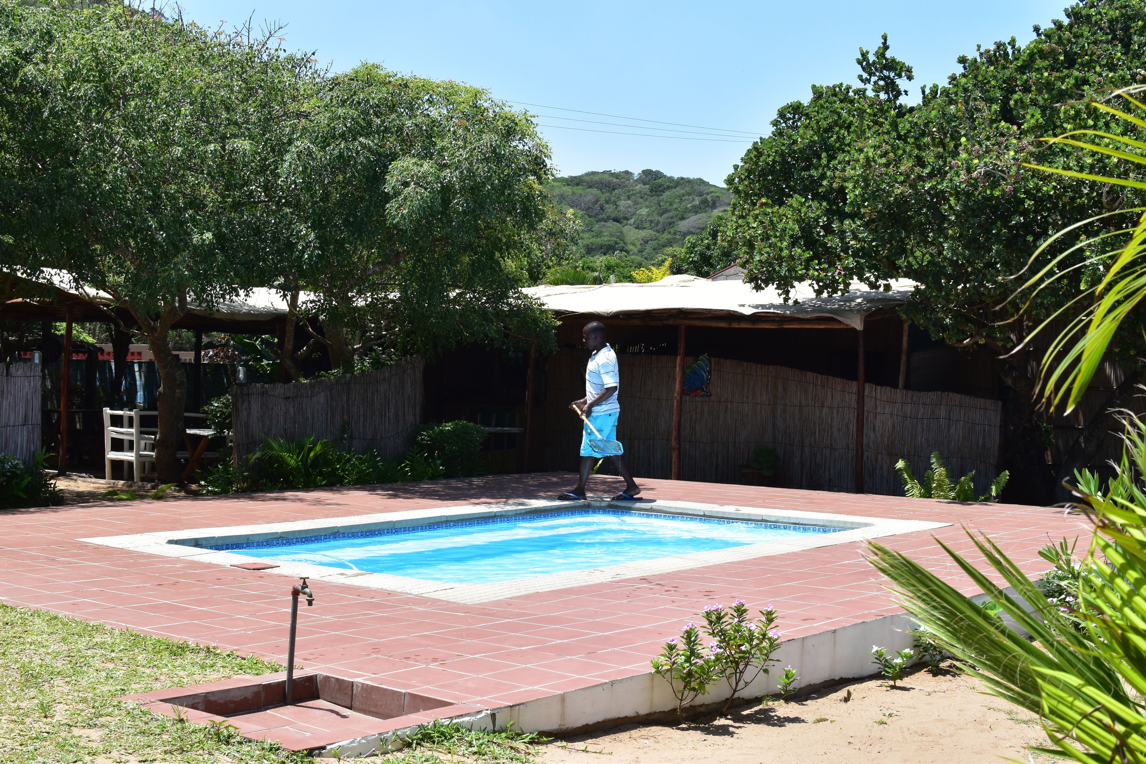 Una piscina rectangular con solárium de azulejos, rodeada de árboles y una estructura de madera.