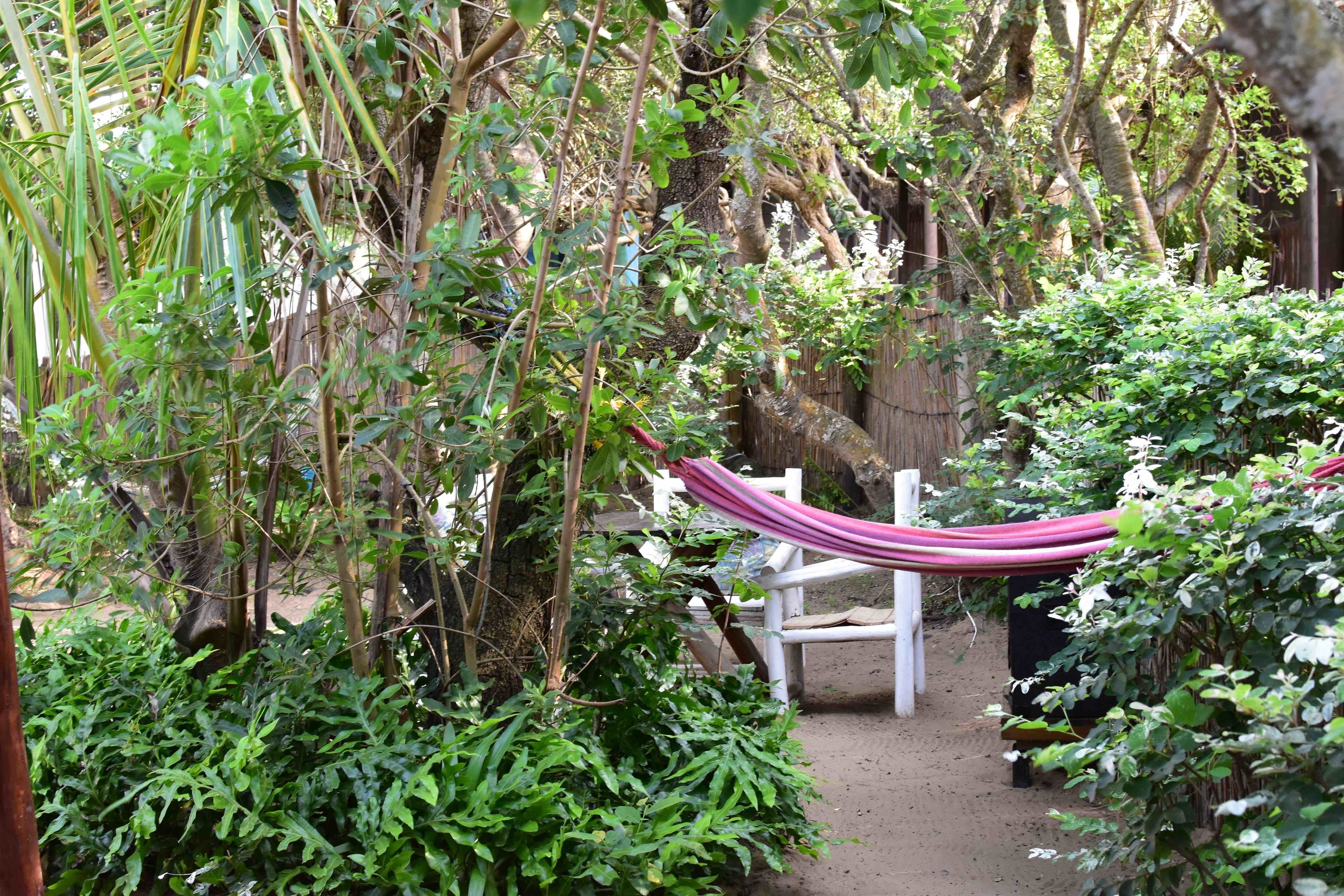 A garden with a hammock, a white chair, and dense foliage.