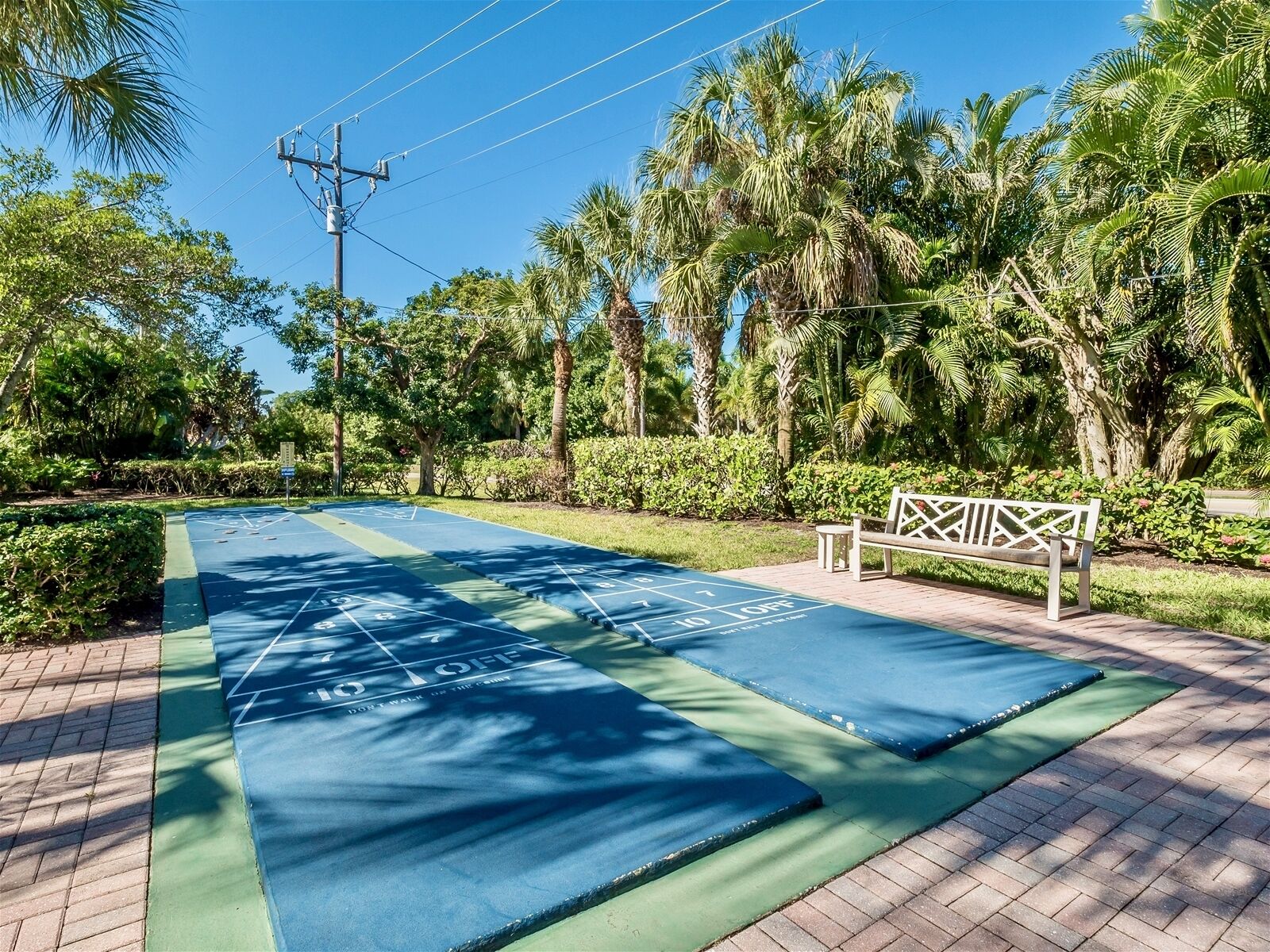 Un espacio ajardinado con una cancha de shuffleboard, un banco y abundante vegetación.
