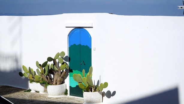 A white wall with a blue door and three potted cacti.