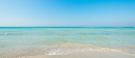 Playa en los alrededores 