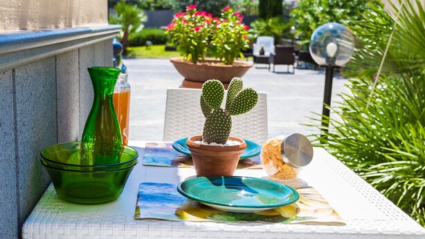 A table with a cactus, a green vase, and a bowl. There are chairs and a potted plant in the background. - B&B Atrium (Pompei)
