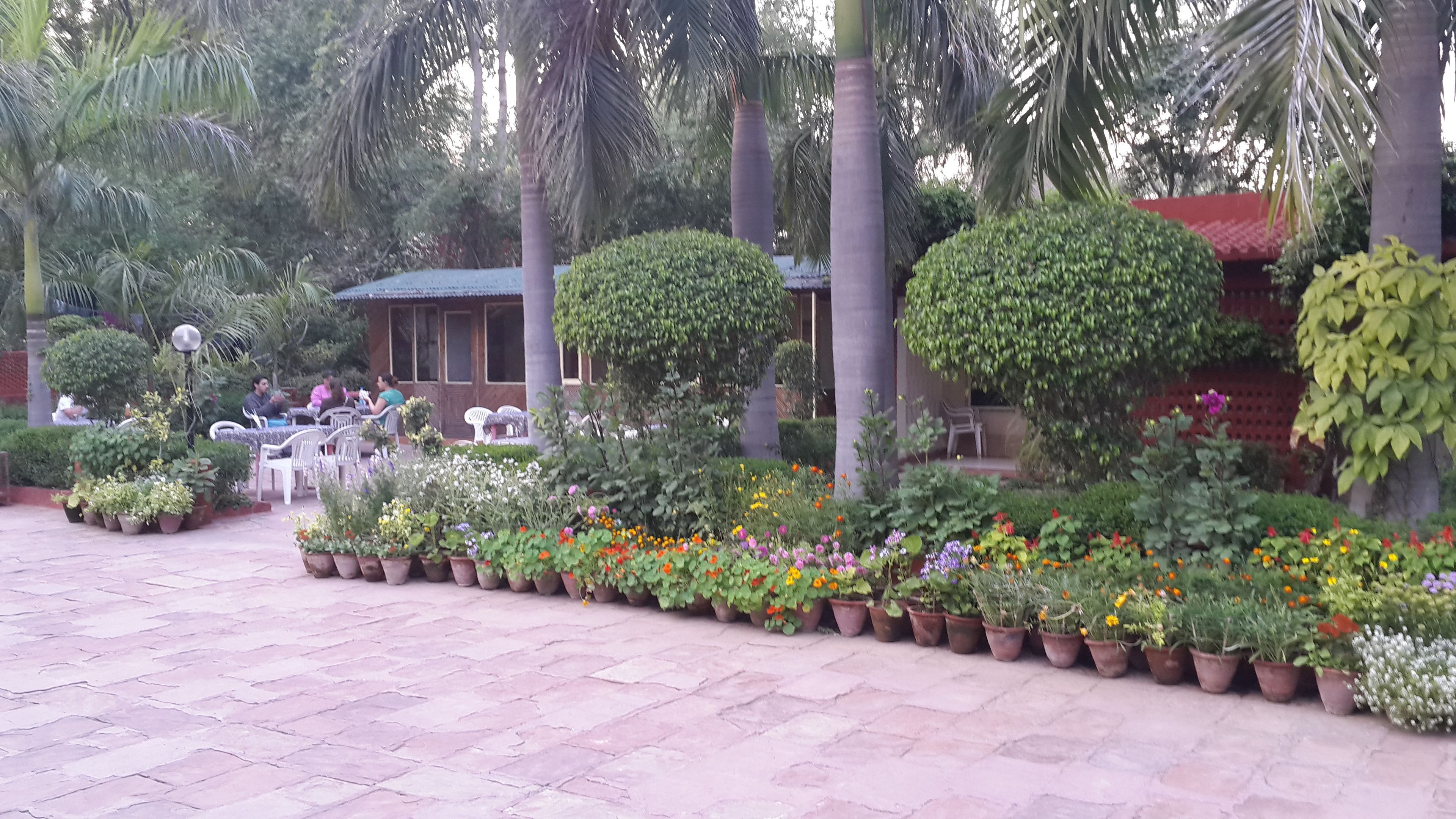 Foto - Hotel Sheela, 100m from Taj Mahal