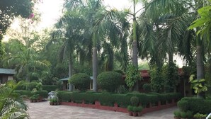 A courtyard with a paved floor, surrounded by various potted plants and palm trees. - Hotel Sheela (Agra)