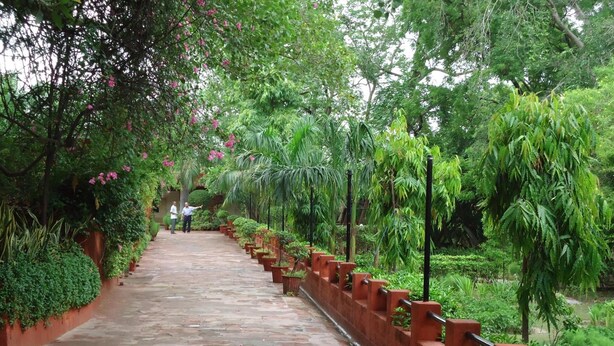 A stone pathway flanked by lush greenery and flowering plants, leading to a building entrance. - Hotel Sheela (Agra)